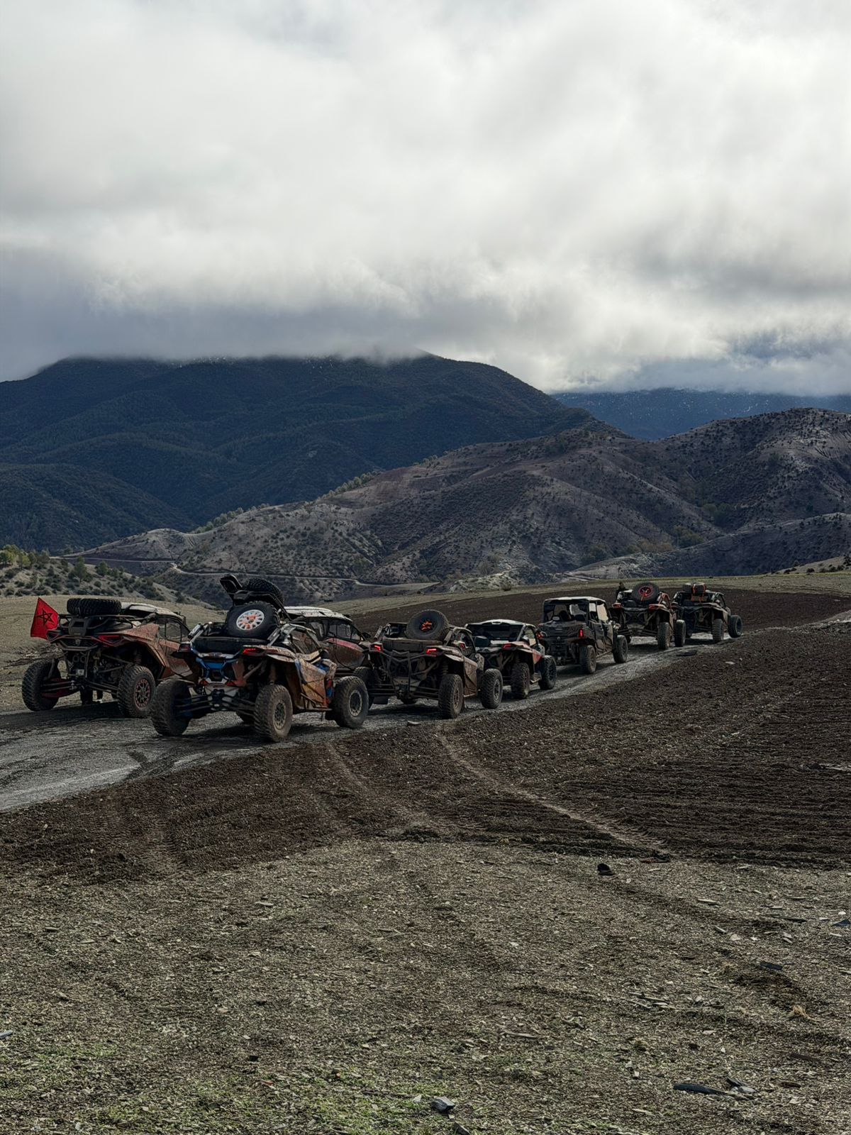 WhatsApp Image 2026-02-23 at 13.10.28